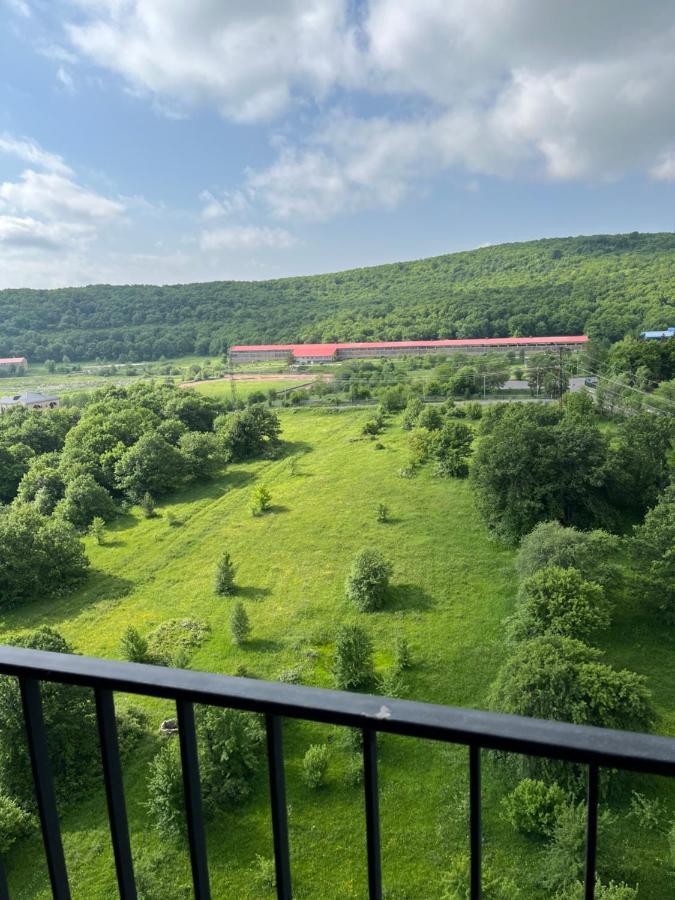 Цахкадзор, Tsaxkadzor, Kechi House Apartment 300 エクステリア 写真