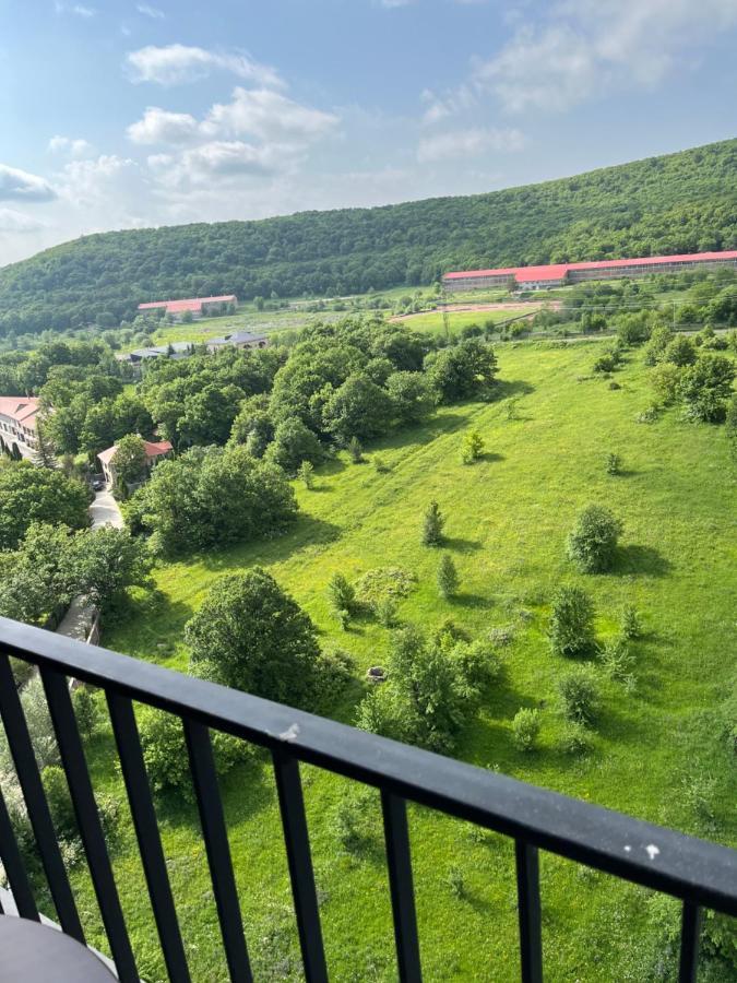 Цахкадзор, Tsaxkadzor, Kechi House Apartment 300 エクステリア 写真