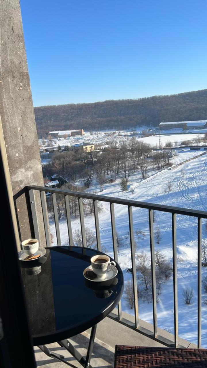 Цахкадзор, Tsaxkadzor, Kechi House Apartment 300 エクステリア 写真
